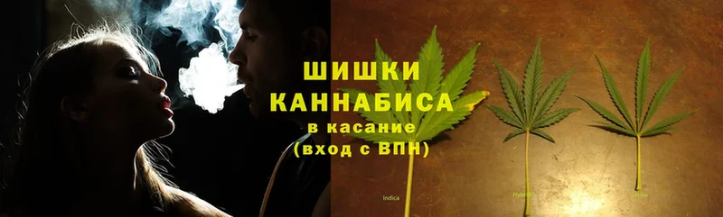 Бошки марихуана OG Kush  купить наркоту  Городище 